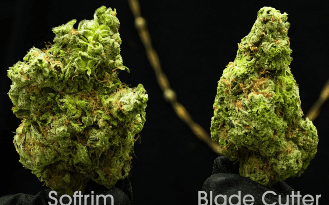 Softrim Bud Trimmers vs. Bladed Bud Trimmers