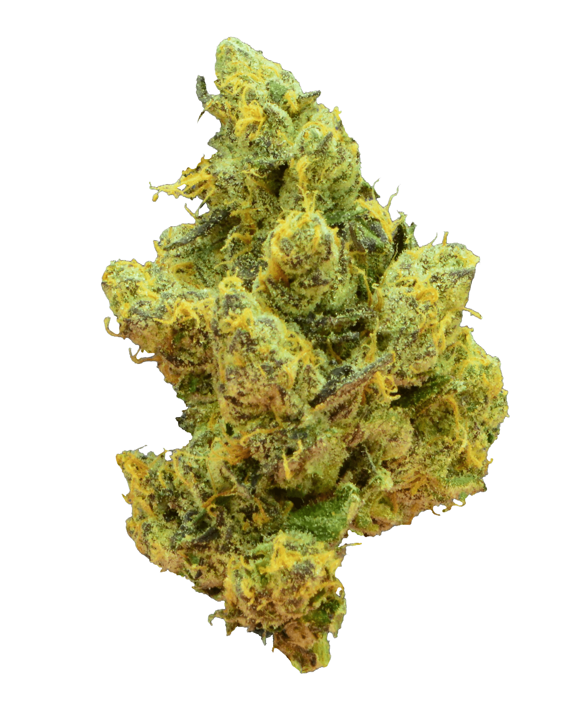 Softrim automatic bud trimmer output results example5